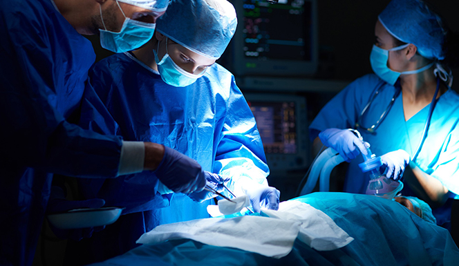 組織工程（類器官制備）